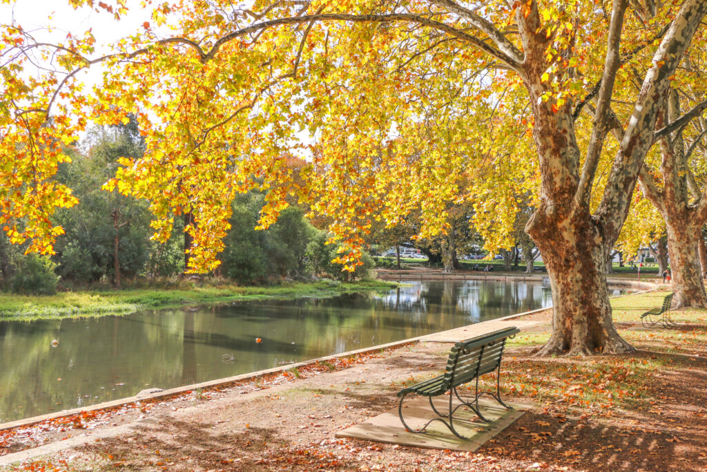 autumn
